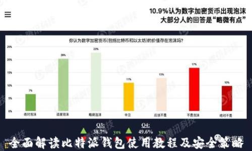 
全面解读比特派钱包使用教程及安全策略