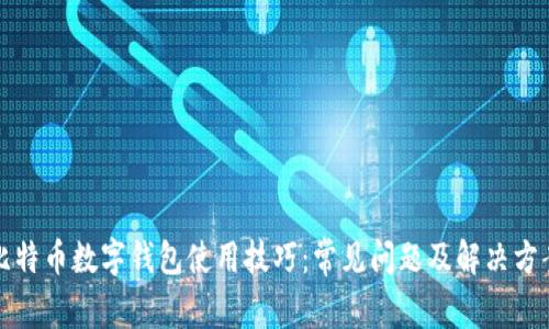 比特币数字钱包使用技巧：常见问题及解决方案