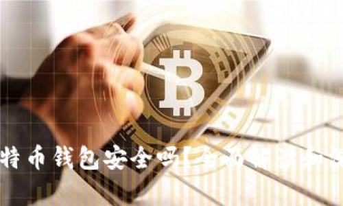实体比特币钱包安全吗？全面解读和深度分析
