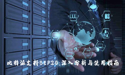 比特派支持BEP20：深入分析与使用指南
