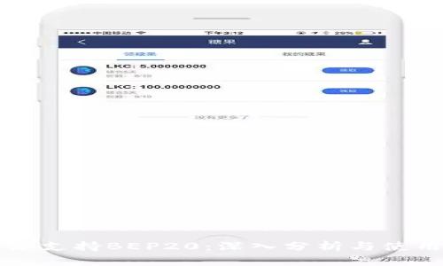 比特派支持BEP20：深入分析与使用指南