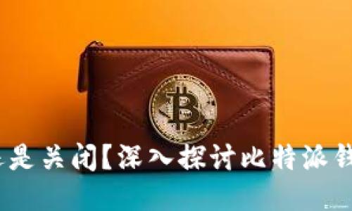 比特派钱包：开源还是关闭？深入探讨比特派钱包的特性与安全性