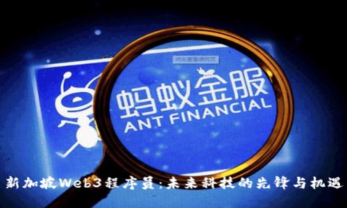新加坡Web3程序员：未来科技的先锋与机遇