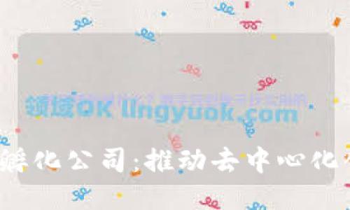探索Web3孵化公司：推动去中心化创新的未来