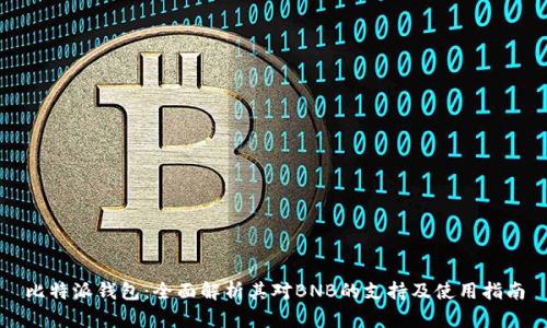 比特派钱包：全面解析其对BNB的支持及使用指南