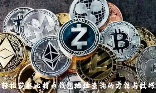   
轻松获取比特币钱包地址查询的方法与技巧