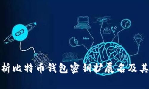 全面解析比特币钱包密钥扩展名及其重要性
