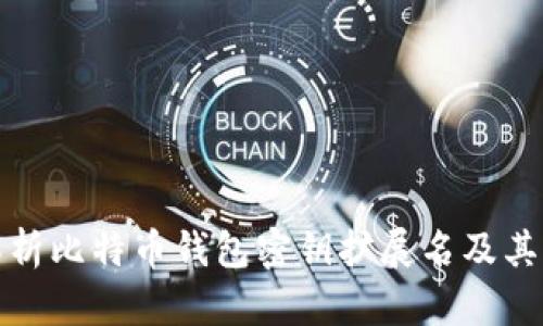 全面解析比特币钱包密钥扩展名及其重要性