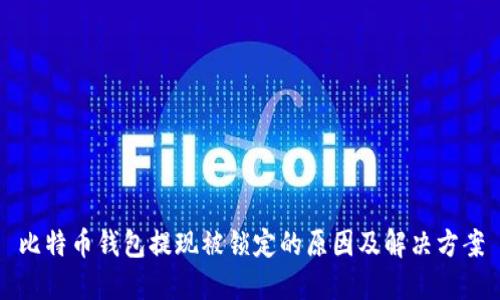 比特币钱包提现被锁定的原因及解决方案