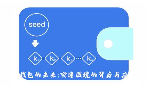 比特派钱包的未来：突遭困境的背后与应对策略