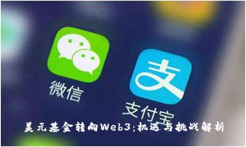 美元基金转向Web3：机遇与挑战解析