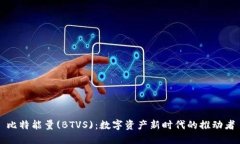 比特能量(BTVS)：数字资产