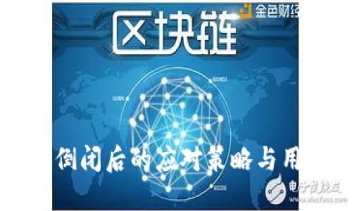 比特派公司倒闭后的应对策略与用户保护指南