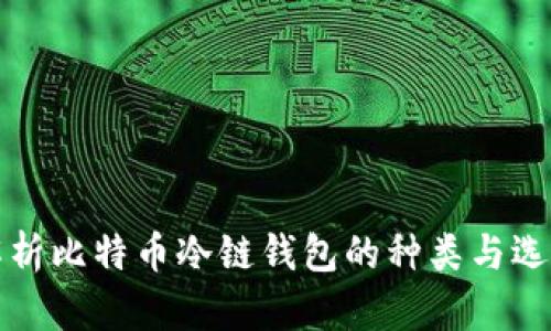 全面解析比特币冷链钱包的种类与选择指南