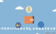 如何管理300G比特币钱包：