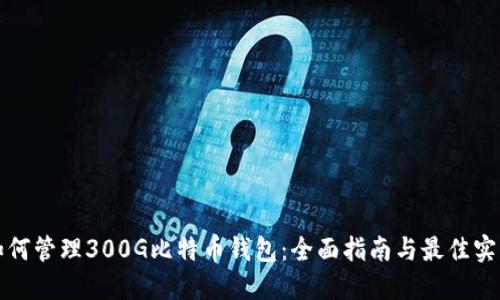 如何管理300G比特币钱包：全面指南与最佳实践
