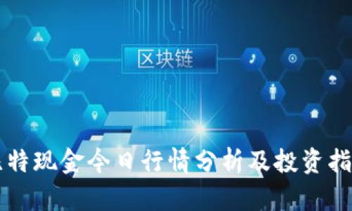 比特现金今日行情分析及投资指南