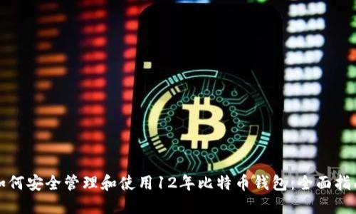 如何安全管理和使用12年比特币钱包：全面指南