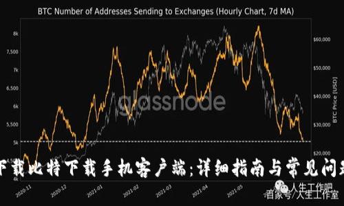 如何下载比特下载手机客户端：详细指南与常见问题解答