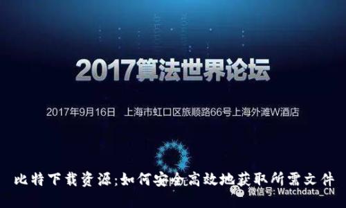 比特下载资源：如何安全高效地获取所需文件