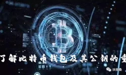 全面了解比特币钱包及其公钥的重要性