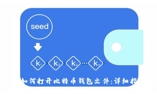 : 如何打开比特币钱包文件：详细指南