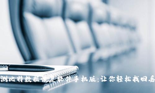 全面评测比特数据恢复软件手机版：让你轻松找回丢失数据