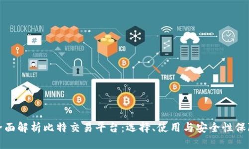 全面解析比特交易平台：选择、使用与安全性保障