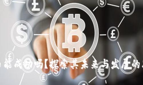 派币能成功吗？探索其未来与发展的思考