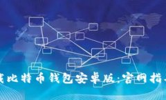 如何安全下载比特币钱包