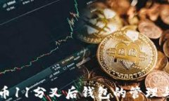 比特币11分叉后钱包的管理