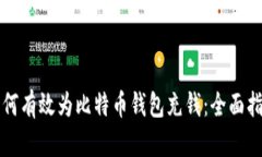 如何有效为比特币钱包充钱：全面指南