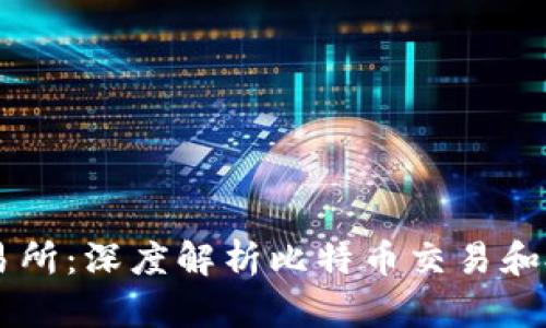 比特交易网交易所：深度解析比特币交易和投资的全新平台