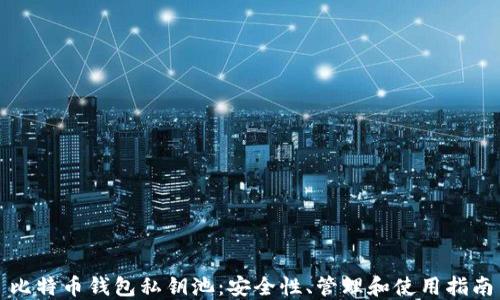 
比特币钱包私钥池：安全性、管理和使用指南