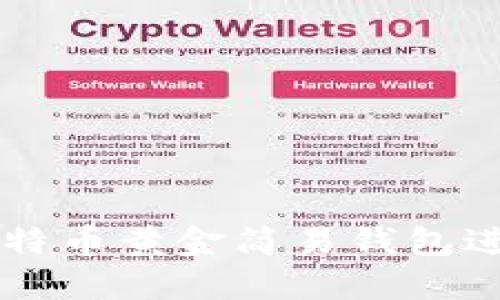 如何使用比特币黄金简易钱包进行安全交易
