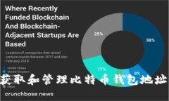 如何安全获取和管理比特