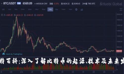 比特百科：深入了解比特币的起源、技术及未来发展