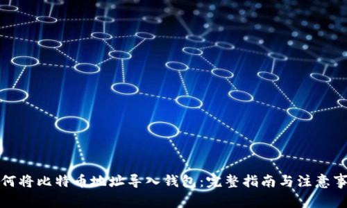 如何将比特币地址导入钱包：完整指南与注意事项