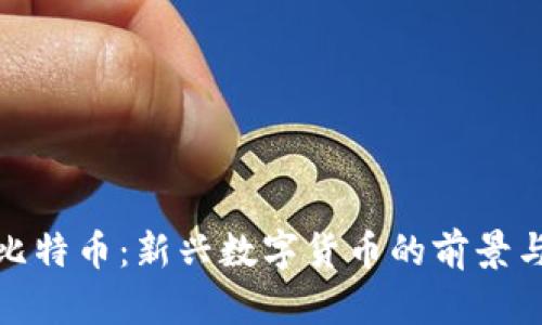派币比特币：新兴数字货币的前景与影响