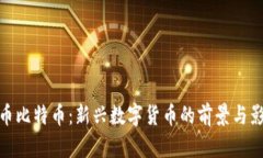 派币比特币：新兴数字货