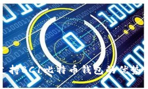 全面解析支持BC1比特币钱包的优势与选择指南