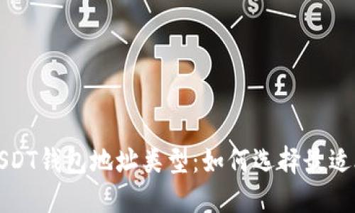 深入探讨USDT钱包地址类型：如何选择最适合您的钱包