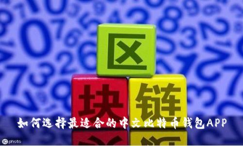 如何选择最适合的中文比特币钱包APP