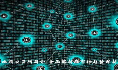 比特交易所简介：全面解析及市场趋势分析
