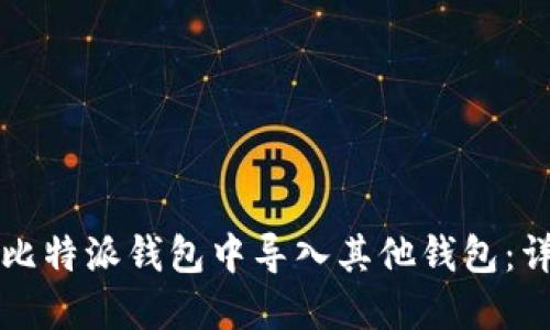 如何在比特派钱包中导入其他钱包：详细指南