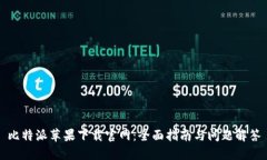 比特派苹果下载官网：全