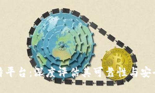 比特平台：深度评估其可靠性与安全性