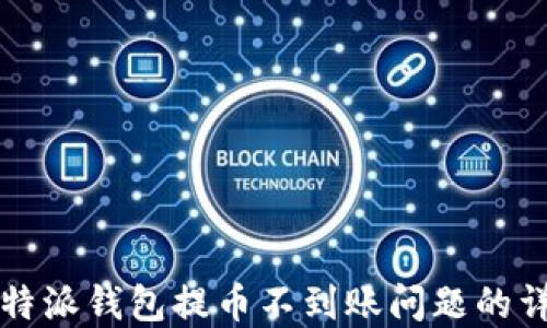 
解决比特派钱包提币不到账问题的详细指南
