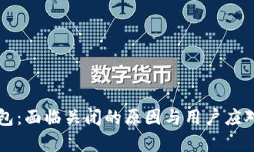 比特派钱包：面临关闭的原因与用户应对策略分析