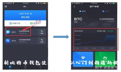 全面解析比特币钱包使用教程：从入门到精通的视频指南